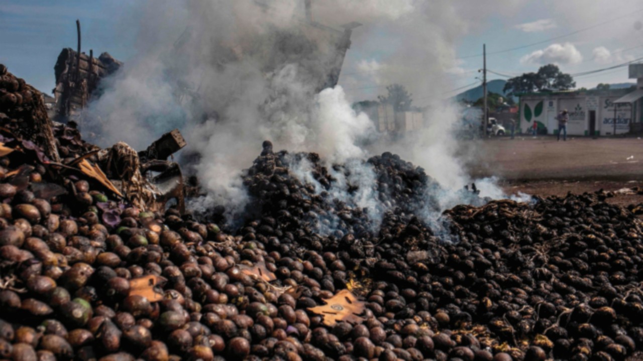 A burned bus and three trucks loaded with avocados are pictured in a barricade set up by residents ...